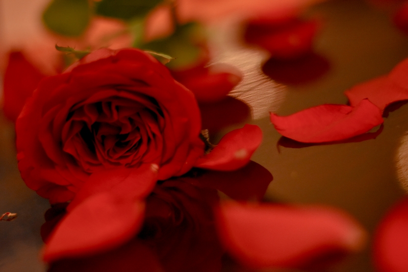 Valentine's at Gordon's Cafe